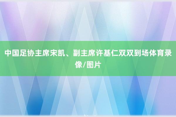 中国足协主席宋凯、副主席许基仁双双到场体育录像/图片
