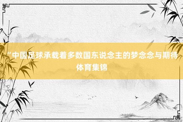 “中国足球承载着多数国东说念主的梦念念与期待体育集锦