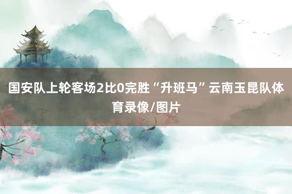 国安队上轮客场2比0完胜“升班马”云南玉昆队体育录像/图片