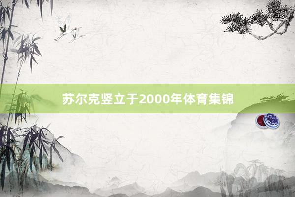 苏尔克竖立于2000年体育集锦