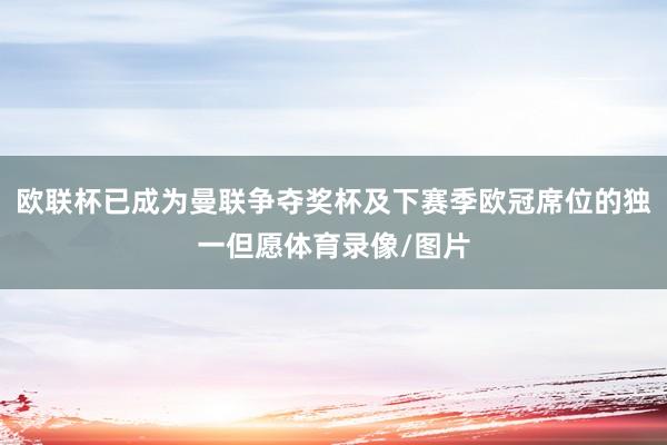 欧联杯已成为曼联争夺奖杯及下赛季欧冠席位的独一但愿体育录像/图片