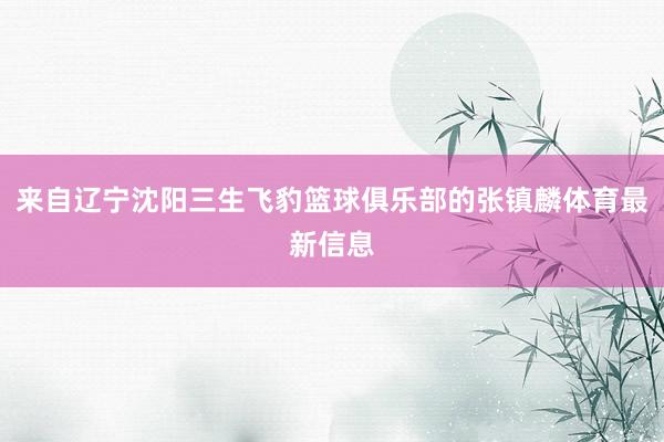 来自辽宁沈阳三生飞豹篮球俱乐部的张镇麟体育最新信息
