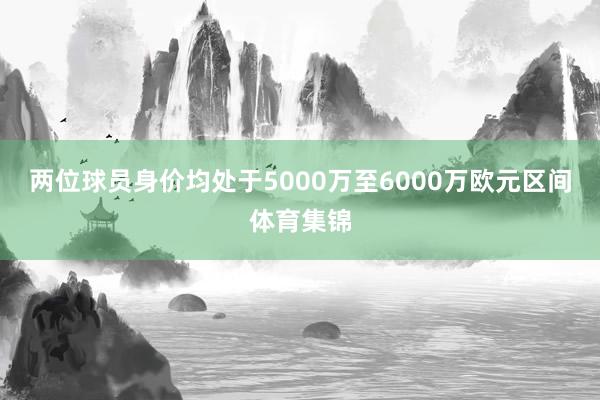 两位球员身价均处于5000万至6000万欧元区间体育集锦